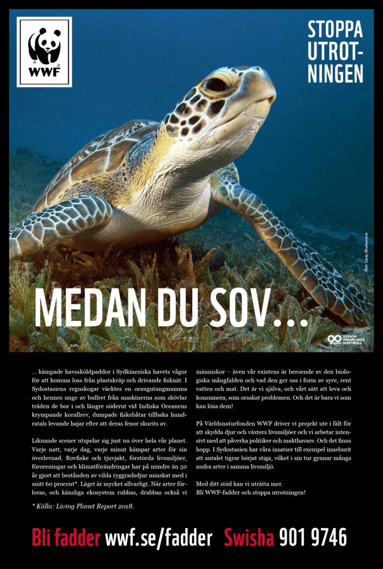 Frilans copywriter Ola Gatby för WWF