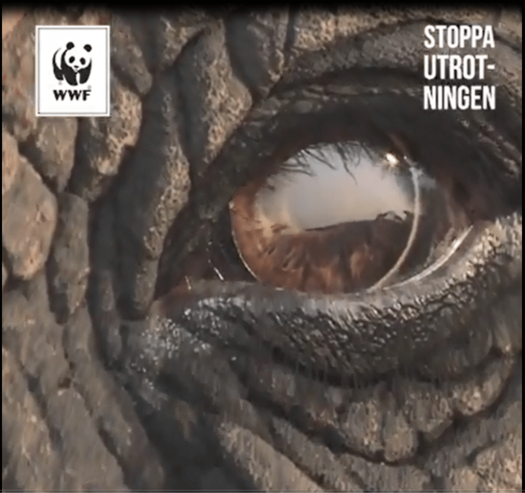 Frilans copywriter Ola Gatby för WWF